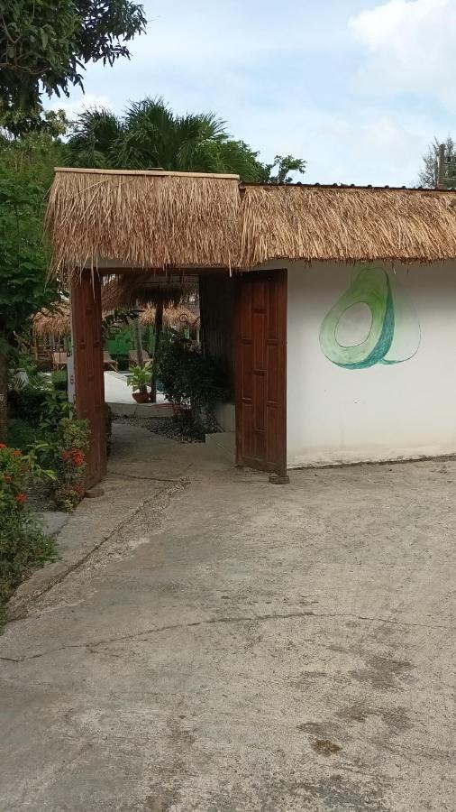 Avocado Koh Samui Hotel Bophut Ngoại thất bức ảnh