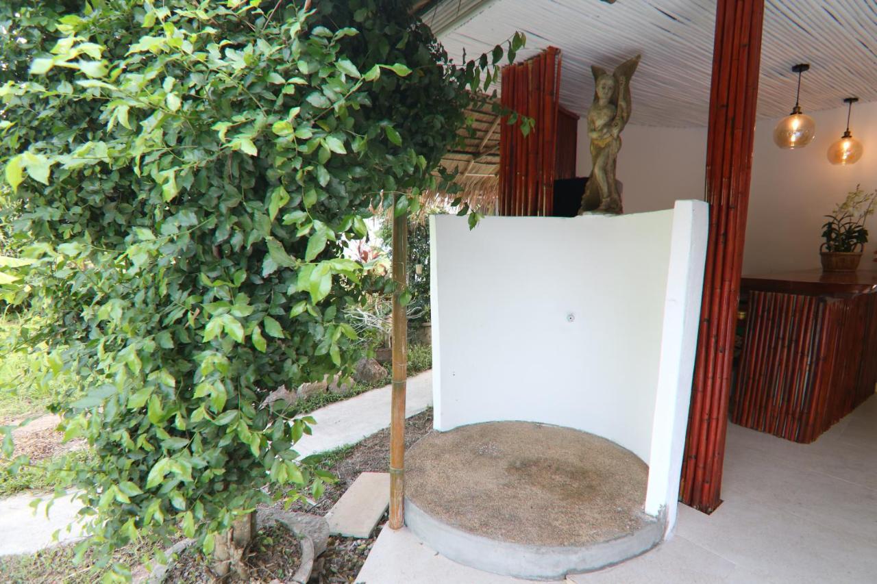Avocado Koh Samui Hotel Bophut Ngoại thất bức ảnh